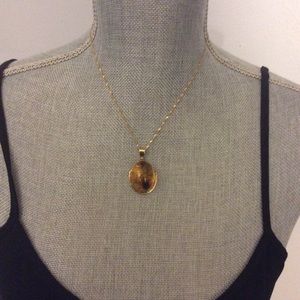 Authentic Amber from the Dominican Republic.